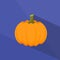 Pumpkin Orange Flat Logo Color Icon Vector