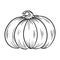 Pumpkin outline contour isolated sketch. Autumn symbol