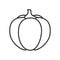 Pumpkin Outline Flat Icon on White