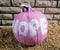 A pumpkin pai Ted pink with the word HOPE written in white sits on a straw bale