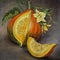 Pumpkin. painting on a white background. Composition of the elements. Pastel drawing. Autumn harvest