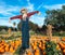 Pumpkin patch farm and a friendly looking scarecrow