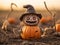 Pumpkin Patch Under Scarecrow\\\'s Vigilant Watch