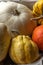 Pumpkin, patisson and jack be little in a decorative basket