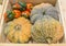 pumpkin and pepper harvested products on wooden box