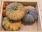 pumpkin and pepper harvested products on wooden box.