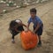 Pumpkin picking at the Hank`s Pumpkintown in Water Mill, NY