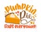 Pumpkin pie fixes everything - funny saying for Thanksgiving holiday.