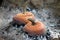 Pumpkin pots with lids cooking soup over hot embers and ashes