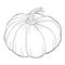 Pumpkin is a real vegetable vegetarian. vector illustration