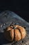 Pumpkin on a rustic wooden table