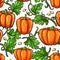 Pumpkin seamless pattern drawing. artistic veget