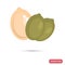 Pumpkin seeds color flat icon