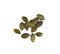 Pumpkin Seeds Isolated, Raw Pepita Grains, Scattered Green Healthy Nuts, Pumpkin Seed Group on White