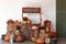Pumpkin shop. Pumpkins in baskets and boxes. Many different pumpkins for sale. Concept of autumn, harvest and