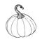 Pumpkin sketch black line isolated on white background