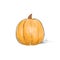 Pumpkin sketch draw isolated over white background