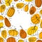 Pumpkin sketch frame. Various pumpkins. Hand drawn autumn vector collection.Thanksgiving or Halloween holidays sketch