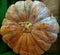 Pumpkin sold in supermarkets, this yellowish fruit can reduce the risk of diabetes and heart disease