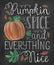 Pumpkin spice and everything nice chalk card