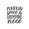 Pumpkin Spice and Everything Nice. Hand written lettering quote. Cozy phrase for winter or autumn time. Modern