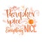 Pumpkin spice and everything nice - quote. Autumn pumpkin spice season handdrawn lettering phrase