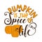 Pumpkin is the spice of life -funny autumnal saying  with pumkins