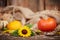 Pumpkin and sunflower autumn still life