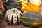 Pumpkin Sweet Dumpling and other varieties of vegetables on a farm counter