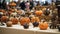 Pumpkin-themed craft fair or market showcasing handmade crafts
