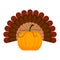 Pumpkin with turkey feathers icon. Thanksgiving