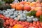 Pumpkin varieties orange summer, Samson, Russian in a large clearing. Food, vegetables, agriculture