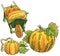 Pumpkin vegetable fruit drawing plant wheelbarrow