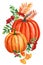 Pumpkin watercolor, autumn leaves, rowan and pumpkins on isolated white background, flora illustration hand drawing