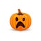 Pumpkin on white background. The main symbol of the Happy Halloween holiday