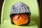 Pumpkin in winter hat on Halloween at cold home, no gas and electricity for heating