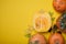 Pumpkin on yellow background, pumpkin cut in half and some unusual pumpkins on yellow autumn leaves