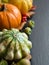 Pumpkins, acorns, leaves and berries