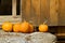 Pumpkins Against Barn Door