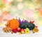 Pumpkins, apples, walnuts, yellow autumnal maple leaves, wheat, red berries and flowers on white wooden table on autumnal blur