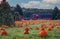 Pumpkins arranged on a farm with red barn in morning dew with fluffy clouds and blue sky for idyllic fall scene