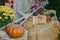 Pumpkins and autumn flowers with cobweb on hay bale, stylish rustic decor of city street. Festive Halloween street decor. Happy