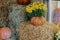 Pumpkins and autumn flowers on hay bale, rustic festive decoration of european city street. Halloween street decor. Happy