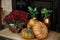 Pumpkins, autumn flowers and plants on sidewalk in city street, festive holiday decor of storefronts and buildings. Halloween