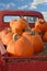 Pumpkins of Back of Pickup Truck