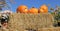 Pumpkins on Bale of Straw Hay