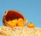 Pumpkins with Basket on Straw Bale over Sky
