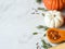 Pumpkins border of various sizes and colors and different raw herbs and spices on marble background. Copy space