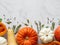 Pumpkins border of various sizes and colors and different raw herbs and spices on marble background Top view. Copy space