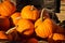 Pumpkins close up on a market for halloween.